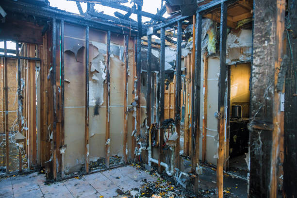 Professional Emergency Fire Cleanup technician working in Feather Sound, FL